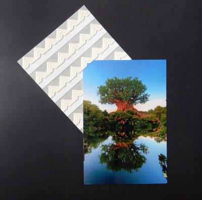 Self-Adhesive Photo Corners