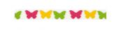 ButterflyRibbon