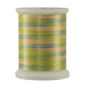 Fantastico 5158 - Impressionist Variegated thread spool