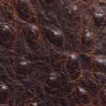 Antique Brown